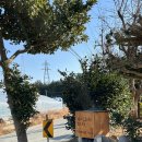 매시리민박 이미지