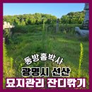 안경박사 안양포도원점 | 잔디깎기 벌초대행 선산관리 잡초제거