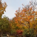 연강 | 가을의 끝자락에서 느끼는 보람: 경비협회 4시간 연강 후기