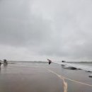 엠케이지 | (제주도 여행) 청주국제공항~제주국제공항 왕복 항공편 이용 후기 ft. 아시아나항공/에어로케이