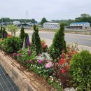 행복한 정원 이미지