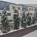 더빌리지 이미지