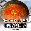 대학로동물병원 | [혜화 맛집] 한식 필요할 때 대학로 김찌 맛집 "다발김치찌개"