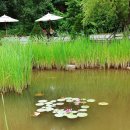 부천자연생태공원 이미지