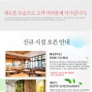 대명리조트 제주 이미지