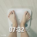 6번 / 수줍은 브이 / 445일째 60.8kg 이미지