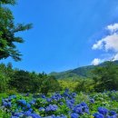 (주)힐링코리아 이미지