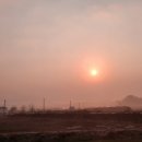 대교갈비 이미지