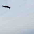 거제도식당 이미지