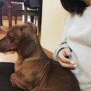 놀아줘PC 이미지