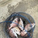 하늘바다낚시터 이미지