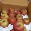 성재농장 이미지