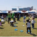 참한 결혼정보 이미지