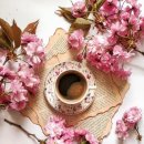 사랑이 넘치는 이미지