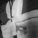 웰니스동물병원(롯데월드점) 이미지