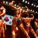 Back Muscle 기능과 운동 이미지