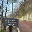 마을도서관 다락 | 전주 가볼 만한 곳, 나만 알고 싶은 특별한 도서관 전주 학산 숲속 시집 도서관 다녀온 후기