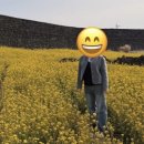 제이(J) 빌하우스 | 임산부 여름 팬츠 추천(소임 와이드 청바지, 하우스 제이 슬랙스 후기)