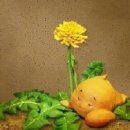 강아지 똥 이미지