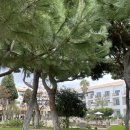 포르투갈 리스본 여행, 리스본 숙소추천 “마이스토리 호텔 피게이라 (My story hotel Figueira”