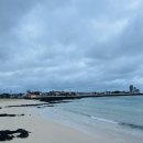 아끈두베 이미지