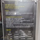 퍼피빌리티 이미지