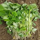 종순농장 이미지