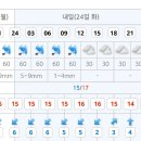 @청산도 당일 날씨예보(신분증지참!) 이미지