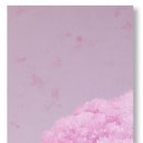 지현이네집 이미지