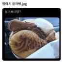 24년 10월 일상
