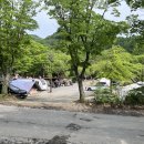 해바라기캠핑장 이미지