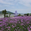 신안관광주 뉴시스