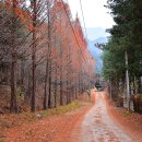 국망봉자연휴양림 이미지