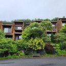 포레스트리솜 이미지