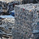 개미환경자원 이미지