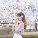 경희대학교국제캠퍼스학생회관 | 경희대 국제캠퍼스 벚꽃 스냅 후기｜용인 벚꽃 명소 추천, 경희대 벚꽃 스냅 촬영