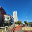 여주-0741 이미지