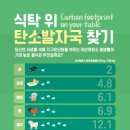 11월의 발자국 이미지