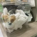 대중자동차공업사 이미지