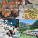 비둘기어린이집 | 아기랑 포천여행 2박3일 (마루글램핑카라반,비둘기양식장,포천1987,최주미메밀막국수)