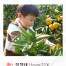백록담제주특산품 이미지