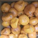 선돌농장 이미지