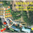 일월관광농원캠핑 이미지