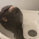 씨유 인천연수타운점 | 인천 연수구 두피관리, 닥터모락 송도점