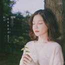 꽃그대 이미지