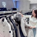 롯데백화점 이미지