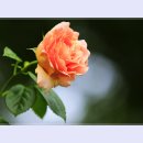 곡성-063 티스토리