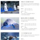 아쿠아플라넷63 이미지