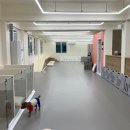 댓츠댕댕스쿨 이미지