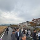 석하한정식 | [경주/후기] 경주국립박물관 APEC 특별전, 신라 금관 권력과 위신